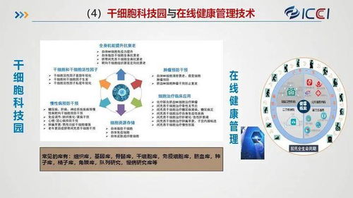 国合院发布八大规划与产业化业务布局，赋能旅游开发项目策划咨询新篇章